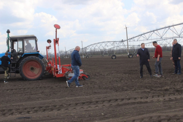 Ростовская область побьет рекорд по посевным площадям сельхозкультур